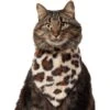 Frisco Leopard Faux Fur Dog & Cat Bandana -Frisco 733894 MAIN. AC SS1800 V1692379950