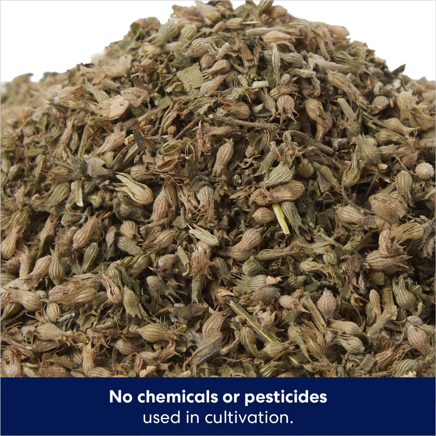 Frisco Natural Catnip & Hartz Just For Cats Mini Mice Cat Toy With Catnip, 5 Count 6 Frisco Natural Catnip & Hartz Just For Cats Mini Mice Cat Toy With Catnip, 5 Count - Image 4