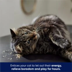 Frisco Natural Catnip & Hartz Just For Cats Mini Mice Cat Toy With Catnip, 5 Count 15 Frisco Natural Catnip & Hartz Just For Cats Mini Mice Cat Toy With Catnip, 5 Count -Frisco 737478 PT4. AC SS1800 V1683212204