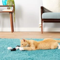 Frisco Natural Catnip & Hartz Just For Cats Mini Mice Cat Toy With Catnip, 5 Count 19 Frisco Natural Catnip & Hartz Just For Cats Mini Mice Cat Toy With Catnip, 5 Count -Frisco 737478 PT8. AC SS1800 V1683212080