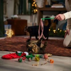 Frisco Holiday Cozy Christmas Sack Variety Pack Cat Toy With Catnip -Frisco 740054 PT3. AC SS1800 V1694812461