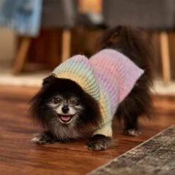 Frisco Soft Multi Stripe Ombre Dog & Cat Hooded Sweater -Frisco 742838 PT7. AC SS1800 V1692376365