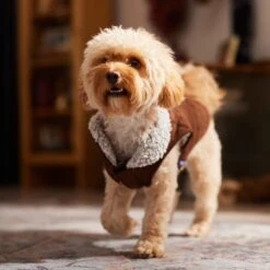 Frisco Medium Weight Quilted Dog & Cat Coat With Cozy Sherpa Lining -Frisco 744310 PT7. AC SS1800 V1692375981