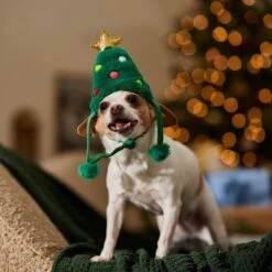 Frisco Christmas Tree Faux Fur Dog & Cat Hat 14 Frisco Christmas Tree Faux Fur Dog & Cat Hat -Frisco 745582 PT5. AC SS1800 V1694793444