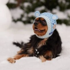 Frisco Nordic Ears Sweater Knit Dog & Cat Hat -Frisco 745710 PT5. AC SS1800 V1695671059