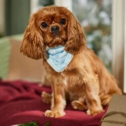 Frisco Reversible Snowflake Cozy Knit Faux Fur Dog & Cat Pullover Bandana, 1 Count -Frisco 746630 PT6. AC SS1800 V1694799358