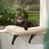 Frisco Plush Cat Window Perch With Removeable Bolster 2 Frisco Plush Cat Window Perch With Removeable Bolster -Frisco 804630 MAIN. AC SS1800 V1695933061