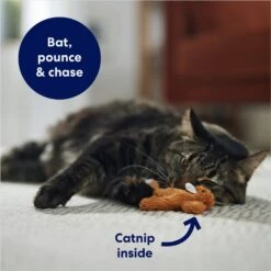 Frisco Squirrel Plush Cat Toy With Refillable Catnip & Frisco Bird With Feathers Teaser Wand Cat Toy With Catnip 14 Frisco Squirrel Plush Cat Toy With Refillable Catnip & Frisco Bird With Feathers Teaser Wand Cat Toy With Catnip -Frisco 962030 PT3. AC SS1800 V1694783954