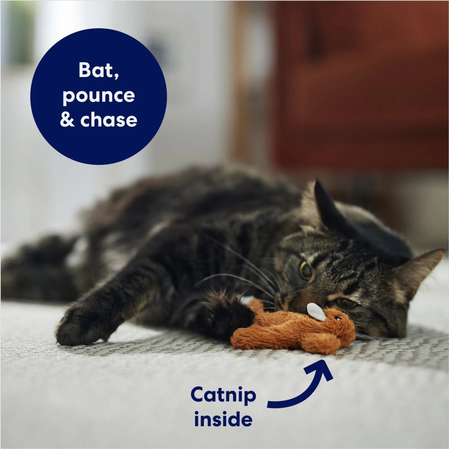 Frisco Squirrel Plush Cat Toy With Refillable Catnip & Frisco Bird With Feathers Teaser Wand Cat Toy With Catnip 6 Frisco Squirrel Plush Cat Toy With Refillable Catnip & Frisco Bird With Feathers Teaser Wand Cat Toy With Catnip - Image 4