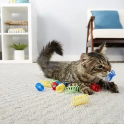 Frisco Colorful Springs Cat Toy & Frisco Bird With Feathers Teaser Wand Cat Toy With Catnip 14 Frisco Colorful Springs Cat Toy & Frisco Bird With Feathers Teaser Wand Cat Toy With Catnip -Frisco 962126 PT4. AC SS1800 V1694782923