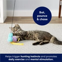 Frisco Colorful Springs Cat Toy & Frisco Bird With Feathers Teaser Wand Cat Toy With Catnip 18 Frisco Colorful Springs Cat Toy & Frisco Bird With Feathers Teaser Wand Cat Toy With Catnip -Frisco 962126 PT8. AC SS1800 V1694782921