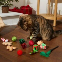 Frisco Holiday Festive Red Variety Pack Gift Box Cat Toy With Catnip, 14 Count & Frisco Holiday Mice Cat Toy With Catnip, 5 Count 12 Frisco Holiday Festive Red Variety Pack Gift Box Cat Toy With Catnip, 14 Count & Frisco Holiday Mice Cat Toy With Catnip, 5 Count -Frisco 986270 PT4. AC SS1800 V1698258464